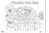 Phoebe Colouring sketch template