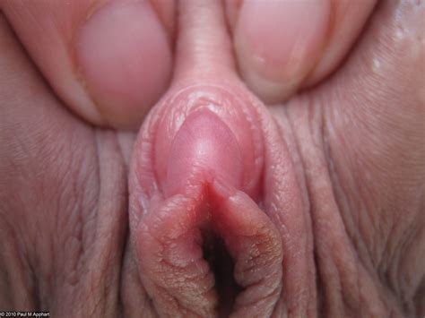 vagina close up picture image 166063