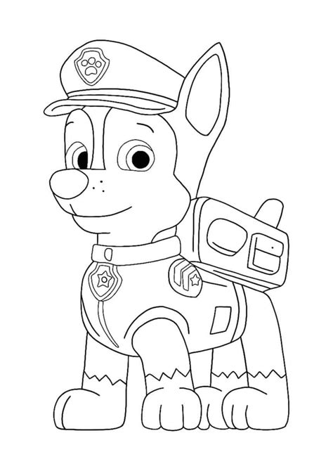 paw patrol coloring pages book  kids