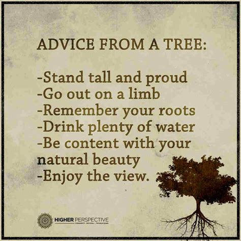 advice from a tree stand tall and proud go out on a limb remember