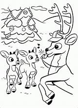 Rudolph Coloriage Reindeer Rudolf Nosed Renne Rentier Nez Rouge Colorat Kolorowanki Renifer Babbo Colorir Desenhos Comet Nase Roten Bumble Misfit sketch template