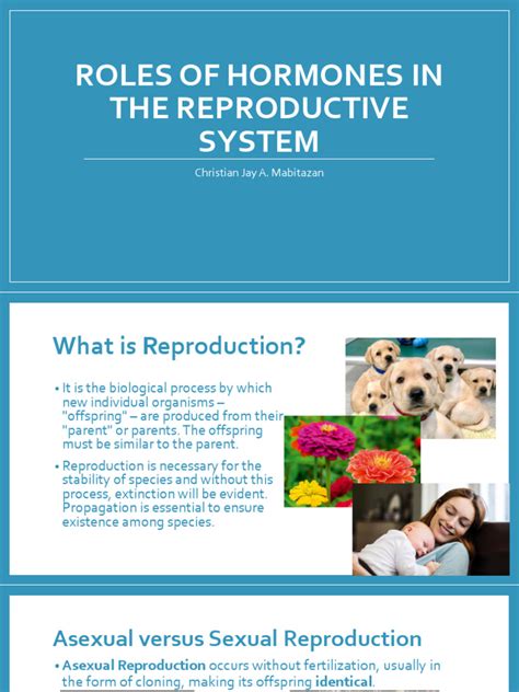 Roles Of Hormones In The Reproductive System Pdf