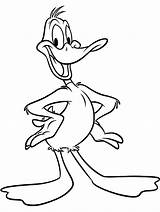Duck Coloring Pages Hunting Cliparts Cartoon Daffy Looney Kids Attribution Forget Link Don sketch template