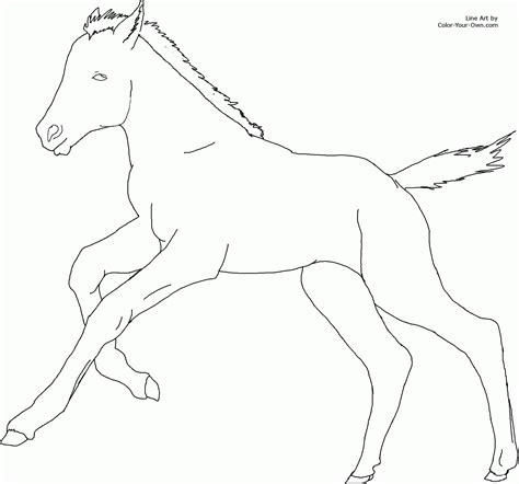 foal coloring page