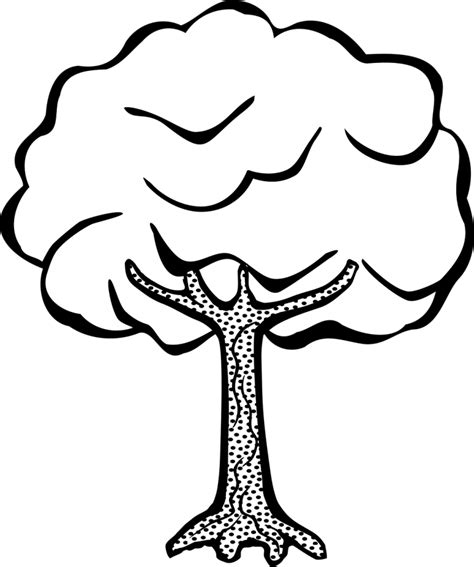printable tree coloring pages  kids  pics   draw