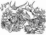 Reef Coral Coloring Pages Fish Great Barrier Drawing Ocean Ecosystem Gathering Predators Reefs Getdrawings Draw sketch template