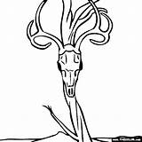 Georgia Keeffe Coloring Pages Skull Deer Pedernal Thecolor Okeeffe sketch template
