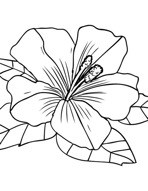 draw coloring pages