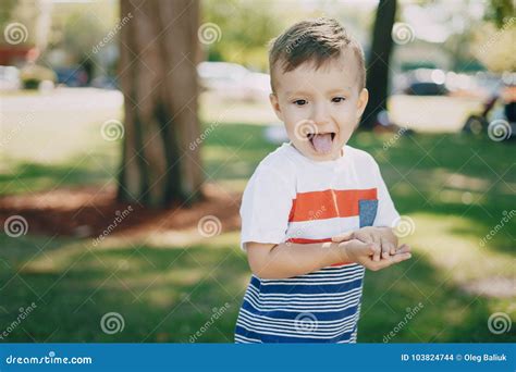 boy  year park stock photo image