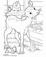 Coloring Cow Honkingdonkey sketch template
