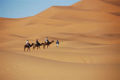 無料画像 風景 砂漠 砂丘 キャメル 単回分 草原 モロッコ 生息地 生態系 サハラ ワディ エルグ 自然環境