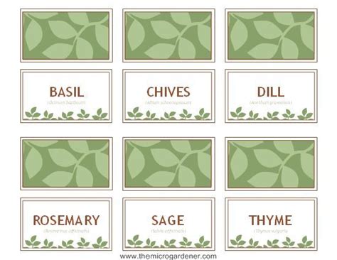 diy creative plant labels hometalk
