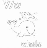 Coloring Whale Popular Pages sketch template