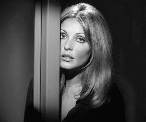 60 Sultry Facts About Sharon Tate The Tragic Vixen