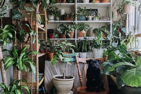 House Full Of Plants’ Secret Garden Homes Halifax Nova Scotia
