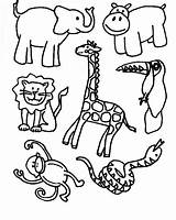 Wild Coloring Pages Animals Animal Jungle Kids sketch template