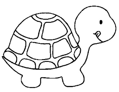 turtle coloring child coloring