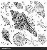 Shells Sea Coloring Zentangle Shell Pages Adult Drawing Patterned Colouring Drawings Zentangles Seashells Seashell Shutterstock Choose Board Mandala Animal Visit sketch template
