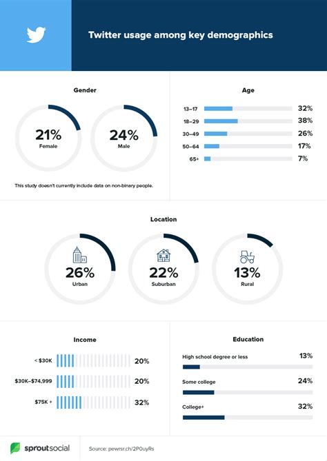 social media demographics  inform  brands strategy