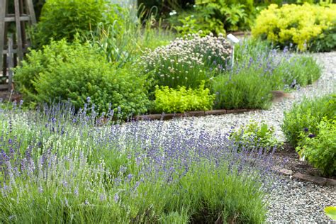 sensory gardens improve    people  dementia