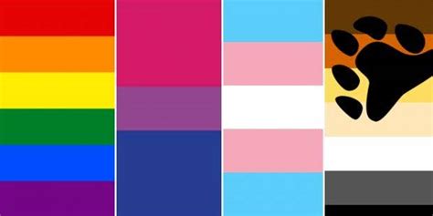 can you name all the lgbtq flags indy100