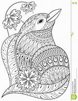 Coloring Pages Adult Exotic Animals Animal Zentangle Bird Ethnic Drawn Flowers Hand Patterned Getcolorings Vector Color Print Getdrawings sketch template