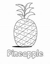 Pineapple Coloring Getdrawings sketch template