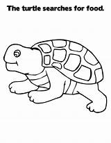 Cartoon Turtle Sheet Coloring Pages Turtles Letter Baby Cliparts Book Printable Kids Riman Libro Palabras Que Reptile Kindergarten Library Clipart sketch template