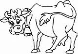 Kuh Vache Ausmalbilder Ausmalbild Ausmalen Sheets Coloriage Cows Malvorlagen Coloring4free Ausdrucken Kostenlos 1185 Colorat Kuhkopf Lelaki Coloriages Vacute Desene Perhatian sketch template