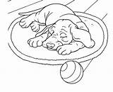 Colorear Coloring Dog Para Perros Pages Animals Printable Perro Kb sketch template