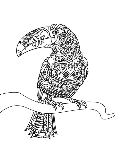 cute birds coloring pages coloring home