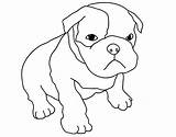 Bulldog Coloring Pages Dog American English Georgia Bulldogs Little Dogs Printable Colouring Kids Scottie Sheets Color Print Getcolorings Book Getdrawings sketch template