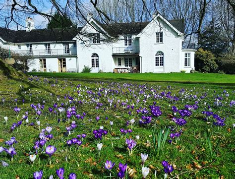 holiday cottages abernant house alltmawr builth wells powys