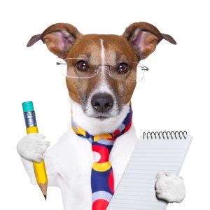 writing  effective dog professional bio dogbiz