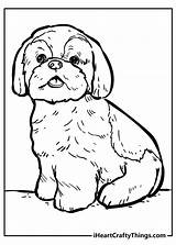 Terrier Iheartcraftythings sketch template