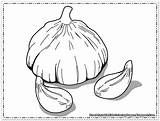 Bawang Putih Mewarnai ثوم Onions Jagung Sketsa Dengan Lembar Meta sketch template