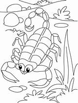 Scorpion Coloring Pages Kids Serpentine Sheets Desert Printable Printabe Toddler Top Animals Colouring Animal Bestcoloringpages Getdrawings Crafts Choose Board Activities sketch template