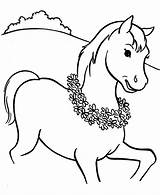 Coloring Horse Pages Cute Printable Horses Kids Horseshoe Morgan Funny Riding Mustang Girl Spirit Print Colouring Drawings Head Pony Clydesdale sketch template