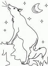 Coyote Coloring Pages Printable Wylie Baby Template Cool2bkids sketch template