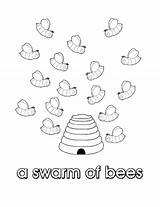 Swarm Bees Colouring Collective Pages Nouns Noun Own Print sketch template