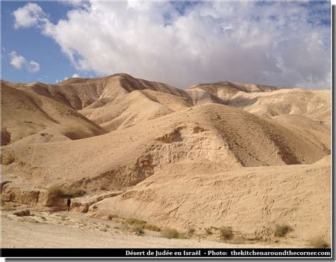 massada  desert de judee paysages enchanteurs en israel