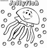 Jellyfish Coloring Pages Sheet sketch template