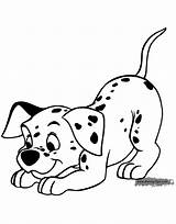 101 Dalmatians Puppy Coloring Pages Disneyclips Disney Tracing Freckles Clip Playful Colouring Puppies Dalmatian Drawings Funstuff sketch template