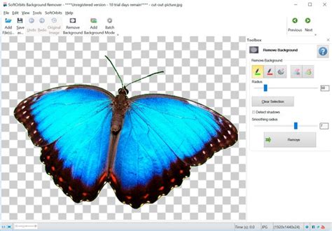 photo background remover software    pc