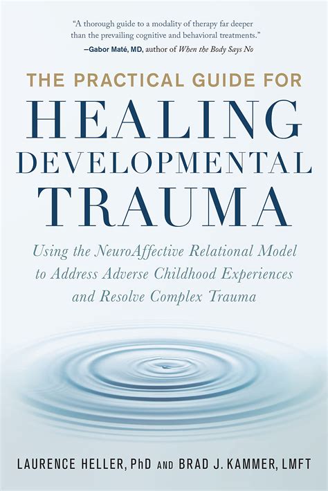 buy  practical guide  healing developmental trauma