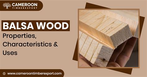 balsa wood properties characteristics  ochroma wikipedia
