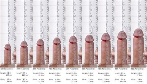 nude man average penis size mega porn pics
