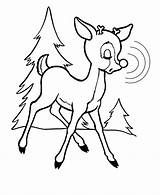 Reindeer Rudolph Coloring Pages Red Nosed Christmas Nose Drawings Drawing Printable Santa Clipart Kids Cartoon Flying Father Sheet Print Cliparts sketch template
