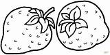 Morango Frutas Colorir Mewarnai Verduras Fruta Strawberries Buah Desenhos Morangos Moldes Foami Fragole Gratis Due Figuras Kolase Dois Papel Fresas sketch template