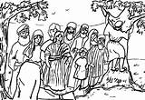 Jesus Tree Zacchaeus Coloring Climb Wecoloringpage sketch template